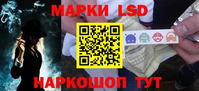 шишки Кудрово
