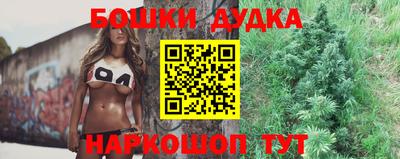 шишки Кудрово