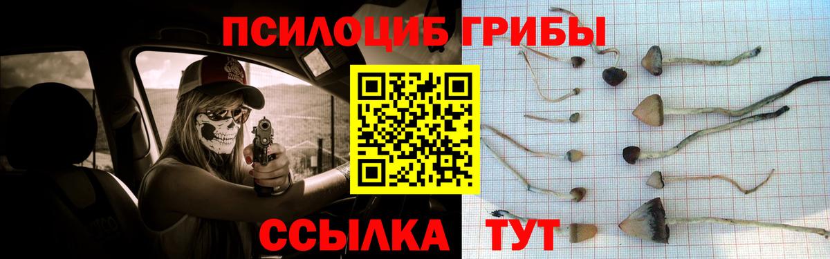 Псилоцибиновые грибы Cubensis  Вход с VPN  Балашиха 