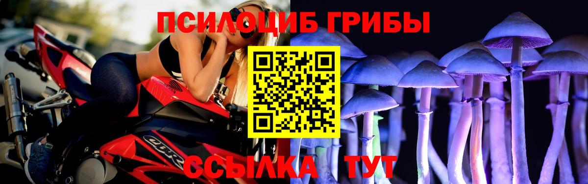 Псилоцибиновые грибы мицелий Балашиха